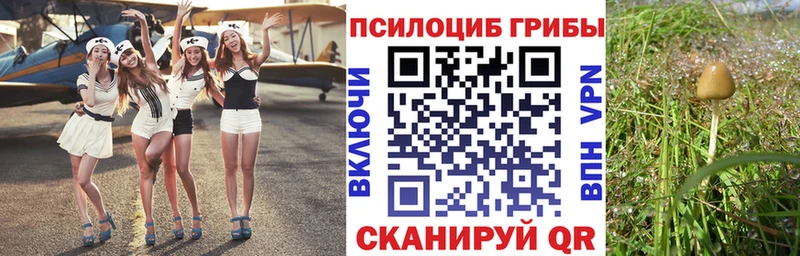 Псилоцибиновые грибы GOLDEN TEACHER  Бирюсинск 